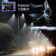 Farola LED 10W - 100W NEW VILLA Philips Driver Programable SMD5050 240Lm/W Area-led