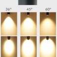 Foco LED 28W LEIPZIG Trifásico - VOSSLOH - Optica Regulable 36º-60º AREA-LED