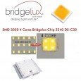 Módulo Óptico LED 40W Bridgelux para Farola + Chapa acero Area-led